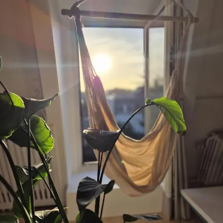 公寓 Zijlweg 哈莱姆