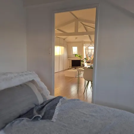 Zijlweg 公寓 哈莱姆