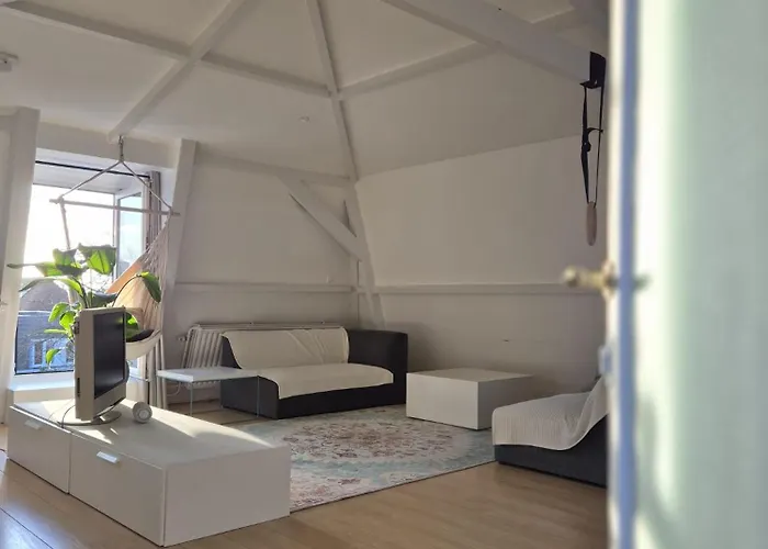 Zijlweg 公寓 哈莱姆