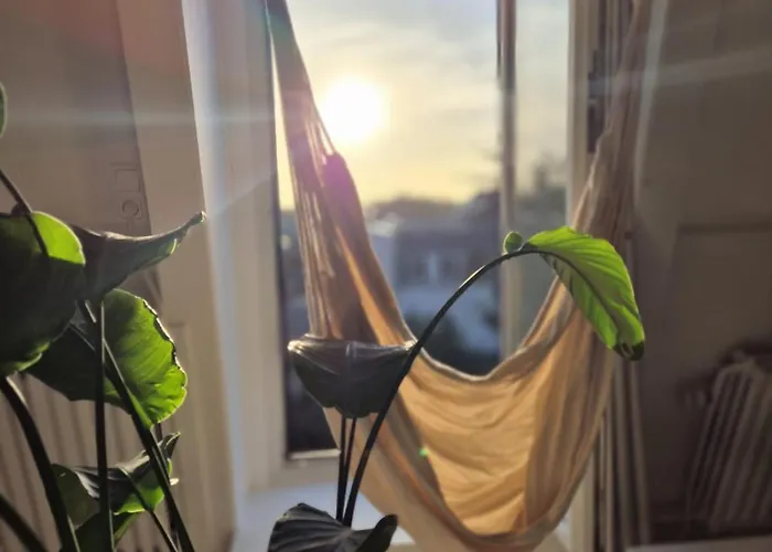 公寓 Zijlweg 哈莱姆